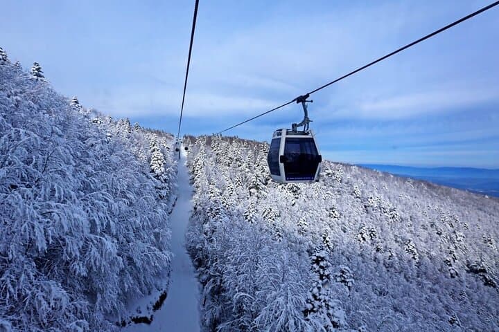 Bursa & Uludağ Full-Day Tour: Cable Car, Covered Bazaar & Mountain Lunch photo 3