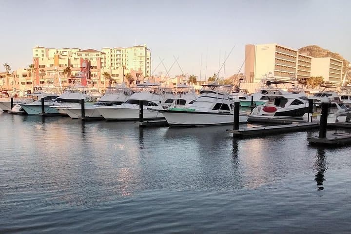 Los Cabos Art & Culture Tour — Galleries, Glassblowing and Coastal Views photo 3