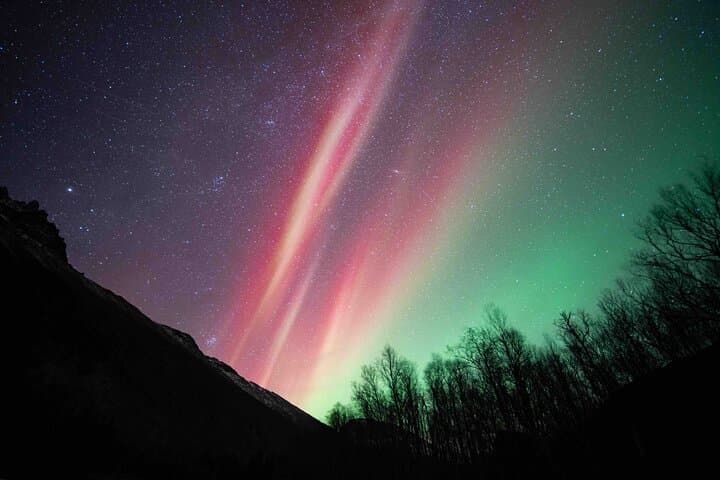 Tromsø Northern Lights Chase: Small-Group Aurora Minivan Tour photo 2