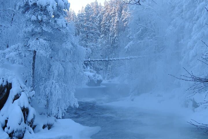 Private Winter Walk in Oulanka National Park: Snowshoe to Jyrävä, Myllykoski & Kitka River