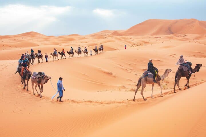 Merzouga Camel Trek and Overnight in Erg Chebbi Desert Camp photo 3