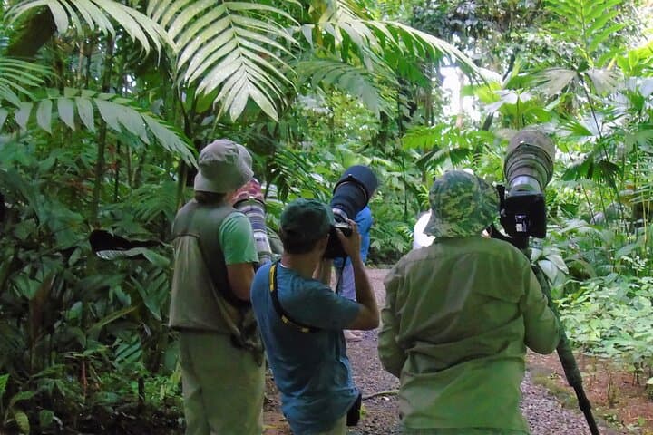 Birdwatching at Ecocentro Danaus: La Fortuna's Best Morning Tour photo 2