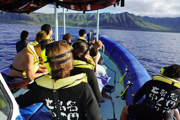 Oahu Speedboat Dolphin Swim: Waianae Wild Dolphins & Turtle Snorkel photo 5