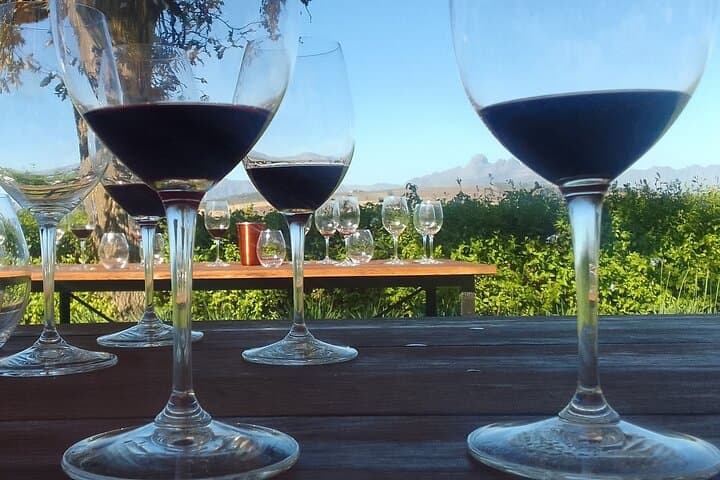 Franschhoek Wine Tram Taste Journey: Hop-On Hop-Off Winelands Tour from Cape Town photo 4