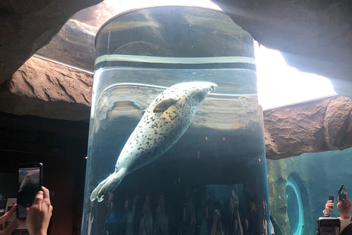 Sapporo Day Trip: Asahiyama Zoo, Blue Pond, Shirahige Falls & Ningle Terrace photo 3