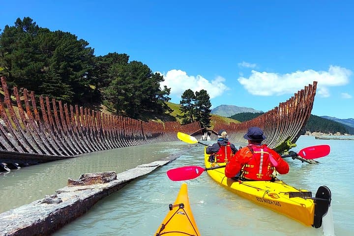 Sea Kayaking Lyttelton Harbour & Quail Island — Day Trip from Christchurch photo 3