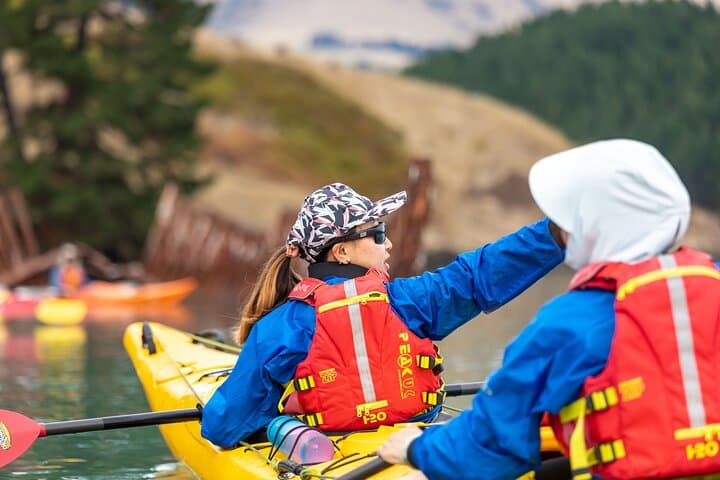 Sea Kayaking Lyttelton Harbour & Quail Island: Day Trip from Christchurch photo 1