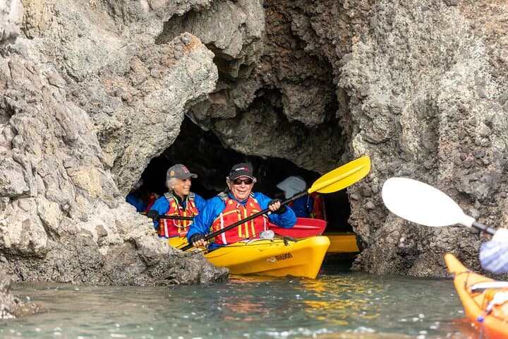 Sea Kayaking Lyttelton Harbour & Quail Island: Day Trip from Christchurch photo 2