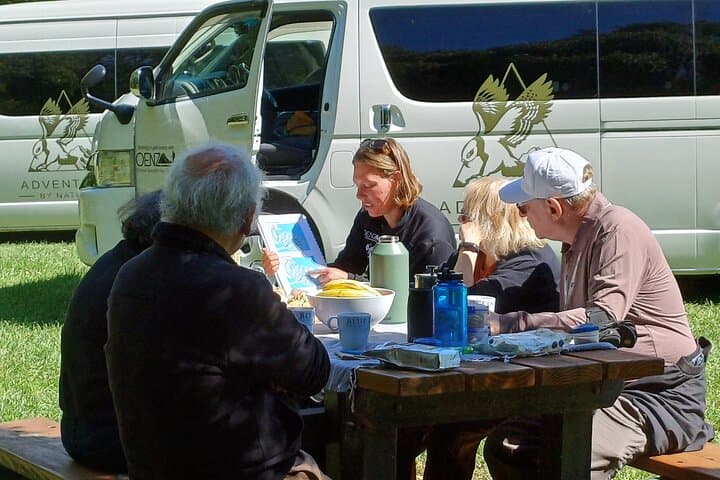 Kaikōura Day Trip from Christchurch: Coastal Walks, Seals & Whale-Watching