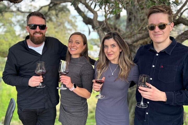 Waiheke Island Taste & Graze: Whisky, Wine, Beer and Olive Oil Tour photo 2