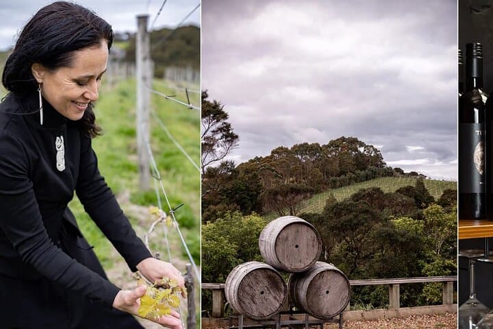 Waiheke Island Maori Cultural Tour with Wine, Lunch & Sacred Sites photo 3