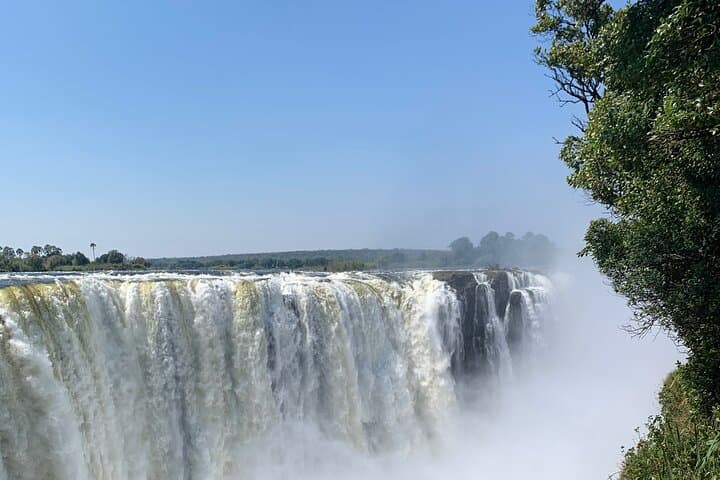 Victoria Falls Rainforest Guided Tour: 2–3 Hour Waterfall Walk and Wildlife photo 2