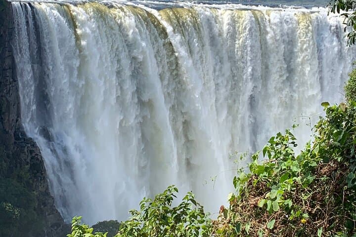 Victoria Falls Rainforest Guided Tour: 2–3 Hour Waterfall Walk and Wildlife photo 3