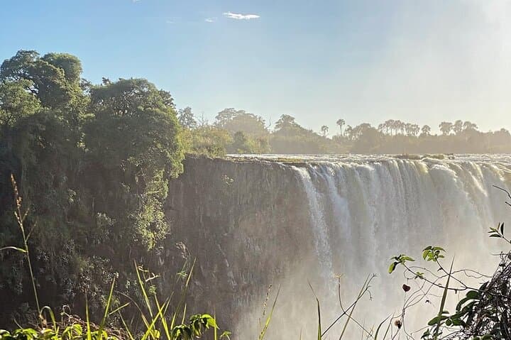 Victoria Falls Rainforest Guided Tour: 2–3 Hour Waterfall Walk and Wildlife photo 6