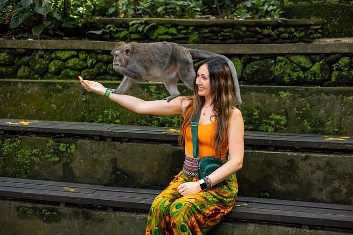 Ubud One-Day Highlights: Swing, Monkey Forest, Temple & Waterfall Tour photo 3