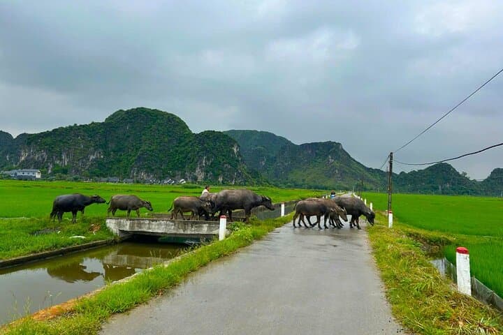 Ninh Binh Jeep Tour: Tam Coc, Bich Dong & Tien Cave Day Trip photo 6
