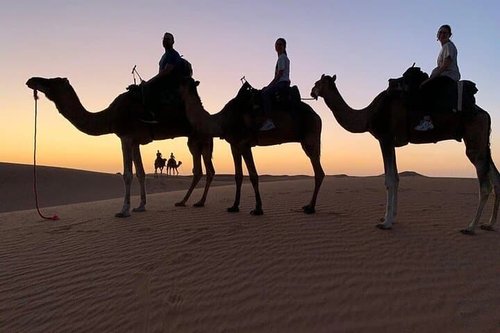 Fez-to-Marrakech 3-Day Desert Tour via Merzouga and Erg Chebbi photo 4