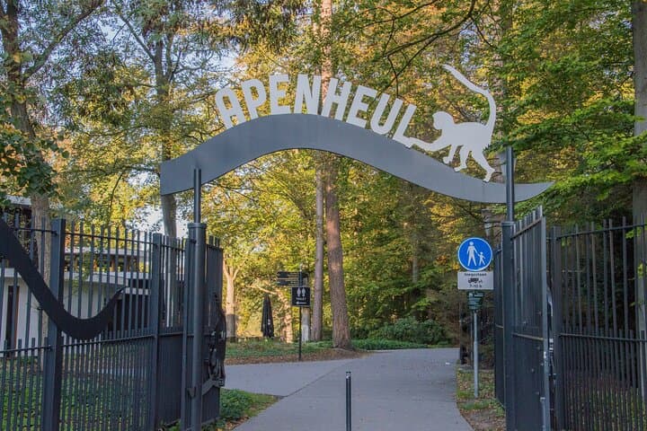 Private Transfer from Amsterdam to Arnhem with 2-Hour Stop at Apenheul Primate Park photo 3