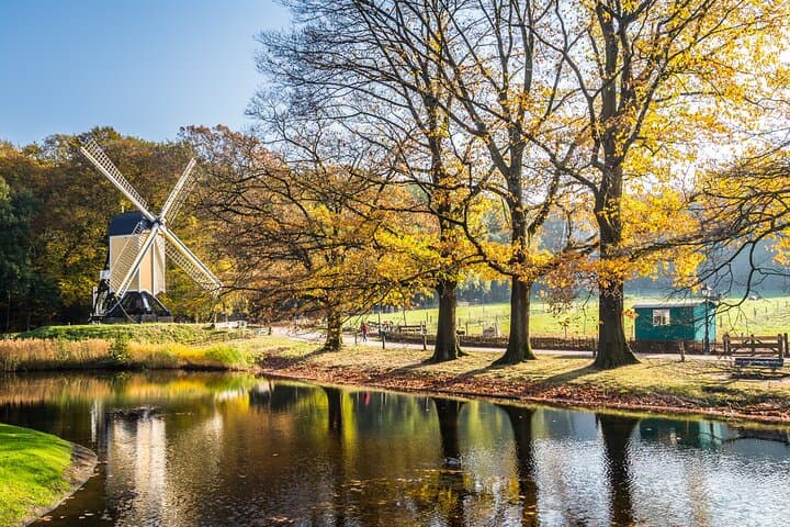 Private Transfer from Amsterdam to Arnhem with 2-Hour Stop at Apenheul Primate Park photo 2