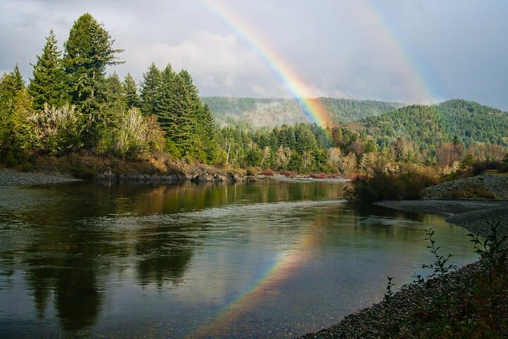 Drive Through Ancient Giants: Redwood National & State Parks Self-Guided Audio Tour photo 3