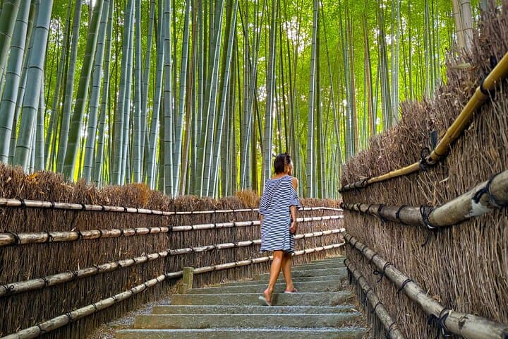 Hidden Gems of Arashiyama: Private Walking Tour to Bamboo Grove and Quiet Temples photo 3