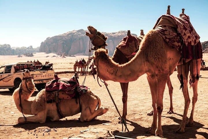 Amman to Petra, Wadi Rum & Dead Sea: 2–3 Day Private Tour photo 3