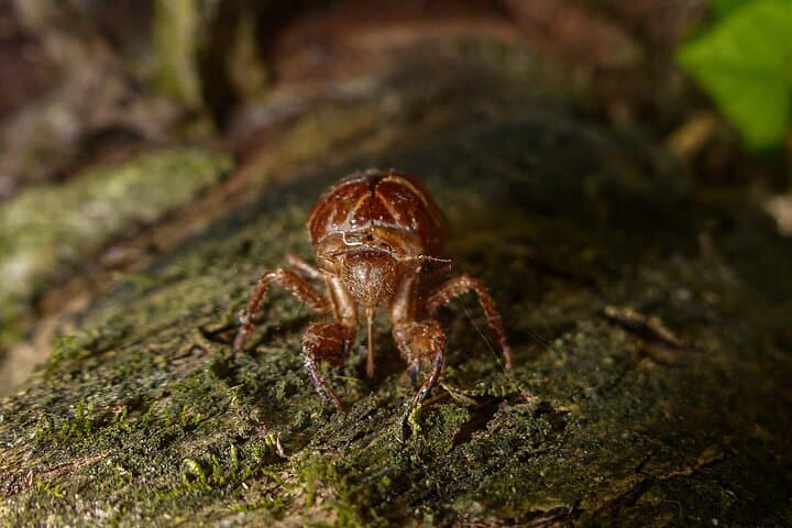 Pacoche Rainforest Hiking Tour from Manta — Private Guided Walk to Pacoche Reserve photo 2
