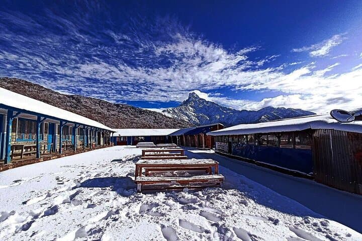 4-Day Mardi Himal Base Camp Trek from Pokhara — Fast-Track Annapurna Views photo 6