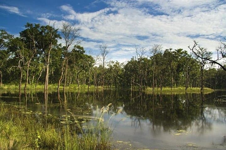 Chitwan Jungle Safari: 2-Night, 3-Day Wildlife Tour from Pokhara photo 4