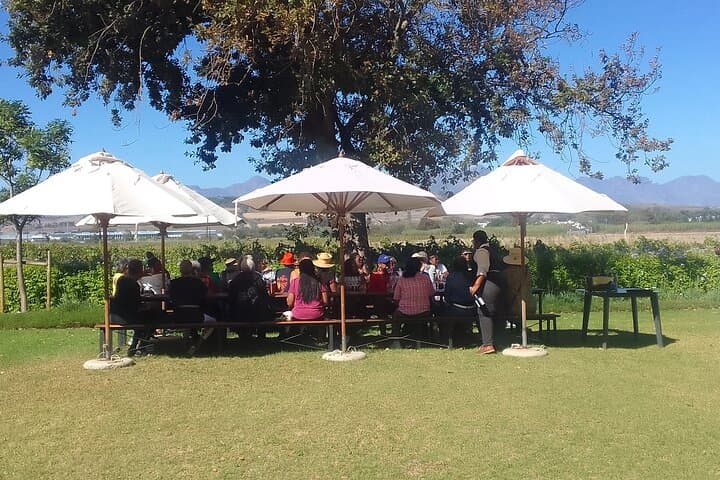 Franschhoek Wine Tram Taste Journey: Hop-On Hop-Off Winelands Tour from Cape Town photo 5