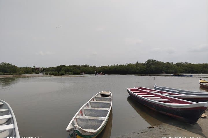 Canoe Through Cartagena's Mangroves to Fisherman's Island photo 1