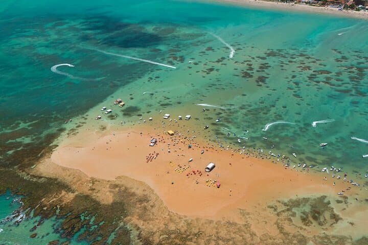 Northern Coast Beaches & Cabedelo: Sea Turtles, Fortress Views & Jacaré Sunset photo 4