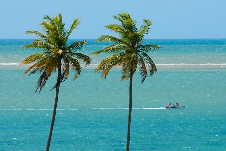 Northern Coast Beaches & Cabedelo: Sea Turtles, Fortress Views & Jacaré Sunset photo 5