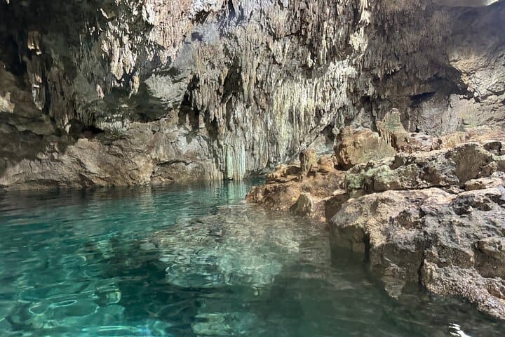 4 Cenotes Tour in Homún from Mérida — All‑Inclusive Day Trip photo 4