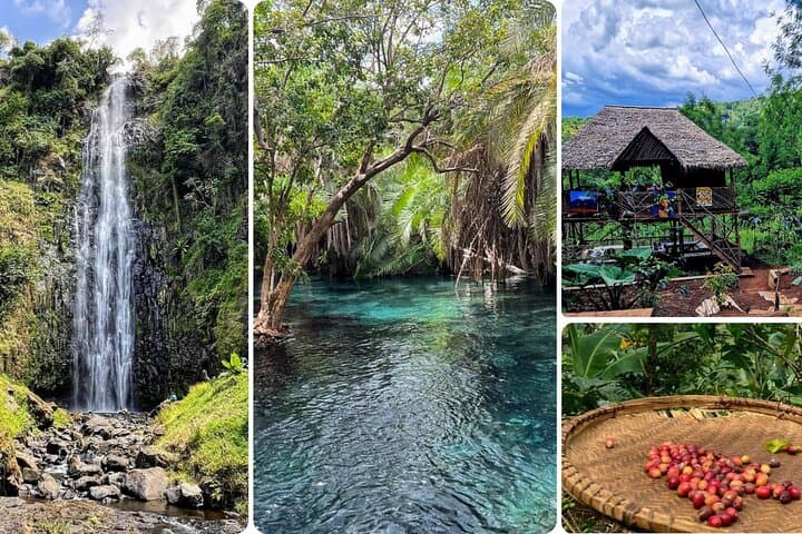 Materuni Waterfall, Coffee Farm & Hot Springs Day Tour from Arusha
