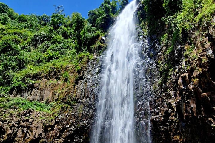 Materuni Waterfall, Coffee Farm & Hot Springs Day Tour from Arusha photo 6