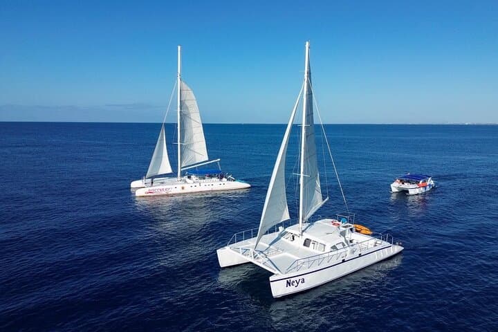 Saona Island Tour from Bayahibe — Natural Pool, Beach Lunch & Catamaran Return photo 2