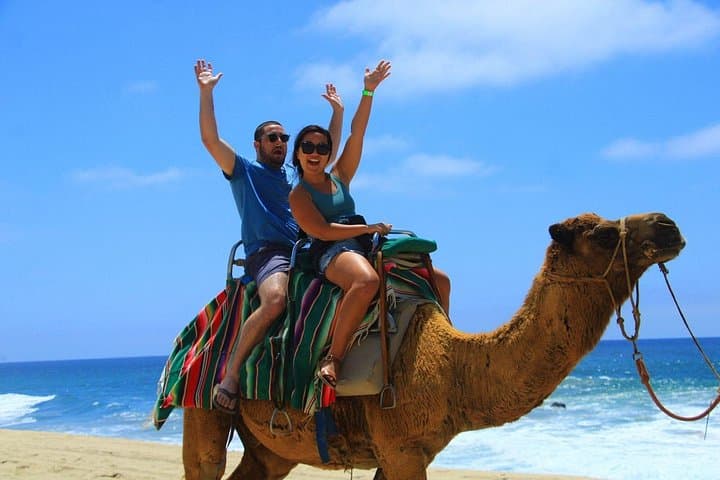 Camel Ride and Glass-Bottom Boat to El Arco — Cabo San Lucas Experience