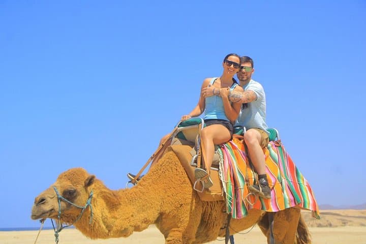 Camel Ride and Glass-Bottom Boat to El Arco — Cabo San Lucas Experience photo 2