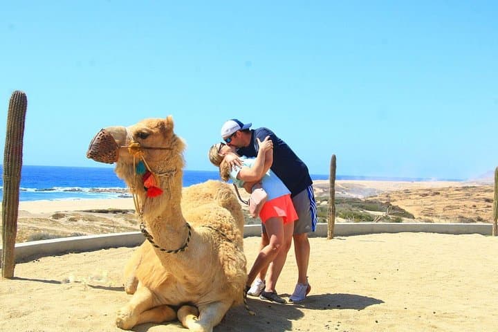 Camel Ride and Glass-Bottom Boat to El Arco — Cabo San Lucas Experience photo 3
