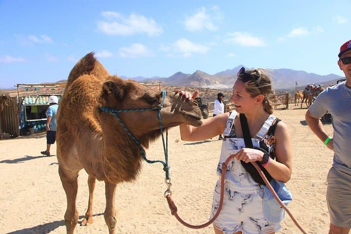Camel Ride and Glass-Bottom Boat to El Arco — Cabo San Lucas Experience photo 4