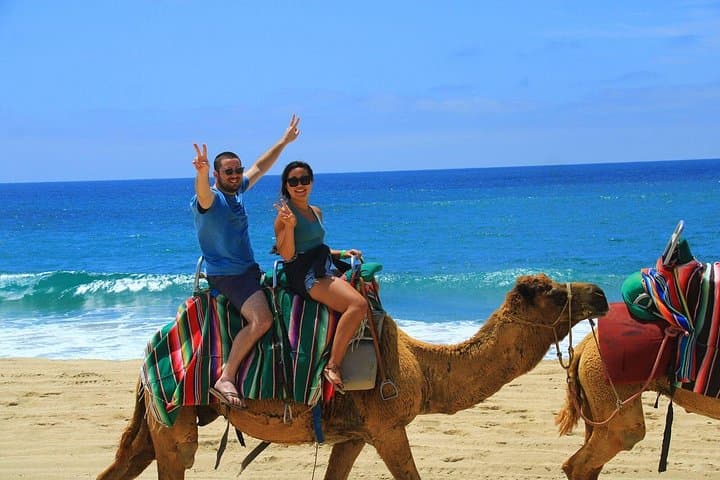 Camel Ride and Glass-Bottom Boat to El Arco — Cabo San Lucas Experience photo 5