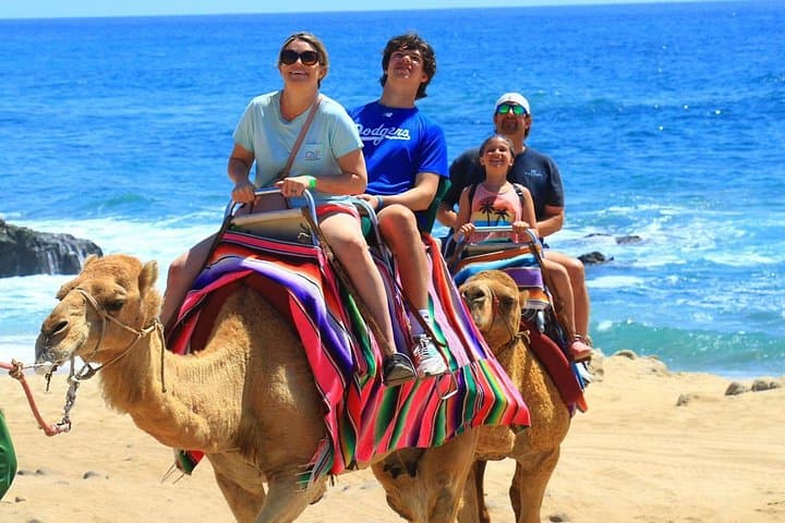 Camel Ride and Glass-Bottom Boat to El Arco — Cabo San Lucas Experience photo 6