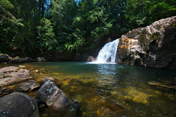 Sinharaja Rainforest Day Trek from Colombo: Trek into Sri Lanka’s Endemic Forest photo 2