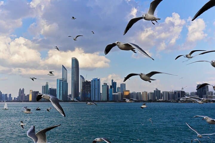 Abu Dhabi Day Trip: Sheikh Zayed Grand Mosque, Corniche & Etihad Towers from Dubai photo 6