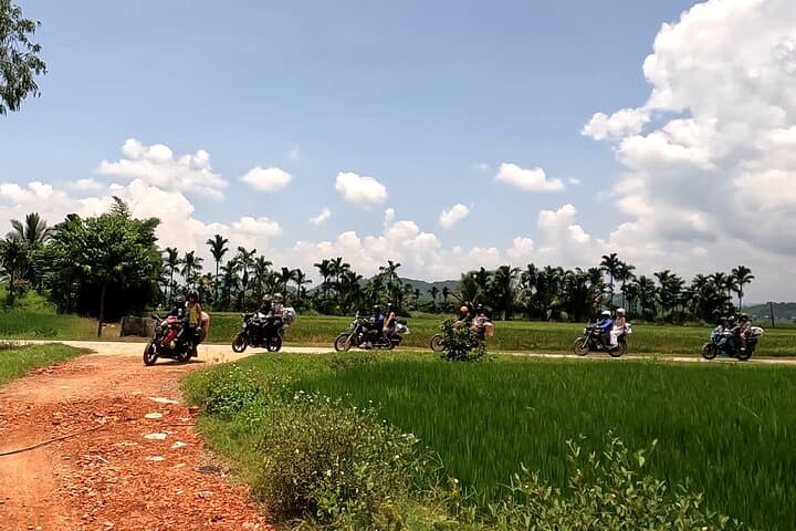 Central Highlands Explorer Loop: 4-Day Dalat to Lak Motorbike Adventure photo 6