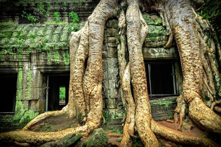 Angkor Wat 2.5-Day Temples & Tonle Sap Small-Group Tour — Sunrise, Ruins and Floating Villages photo 4