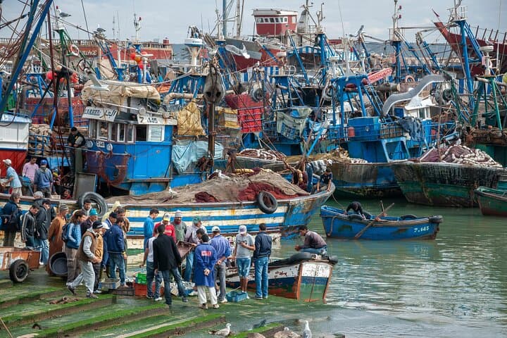 Essaouira Day Trip from Marrakech: Atlantic Ramparts, Argan Co-ops & Coastal Markets photo 3