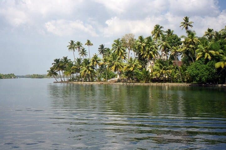 Midday Backwater Cruise in Kumarakom: Village Life & Birdwatching photo 1