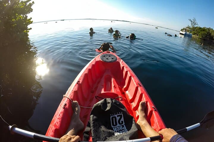Sunrise Paddle on Bacalar Lagoon: SUP and Kayak Tour Guide photo 4